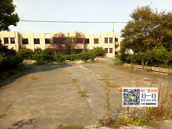 G1256 ̫} ɳϪ  14Iõ 3ǧƽS  ۃr1200f