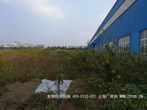 G1988 oaǅ^÷悴TřC7؏S e91 S13700ƽ