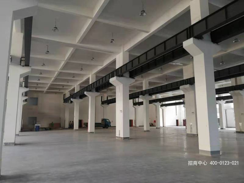 G2567 oRϾֿژֹI^ RɽͿhb10܇ Ӹ9 1500ƽS
